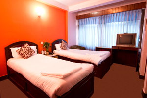 Hotel Thamel Lily Double Bed